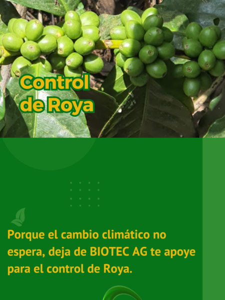 Biotec Ag Roya 1